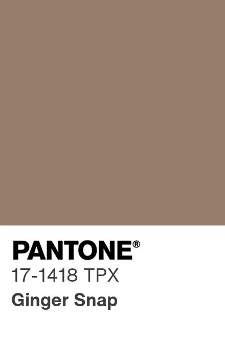 PANTONE USA PANTONE 17 1418 TPX Find A Pantone Color Quick