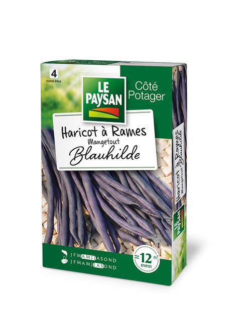 HARICOT A RAMES MANGETOUT BLAUHILDE Le Paysan Semences Et