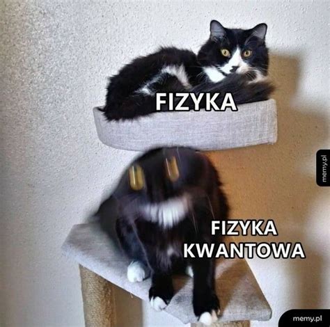 Fizyka Memy Pl