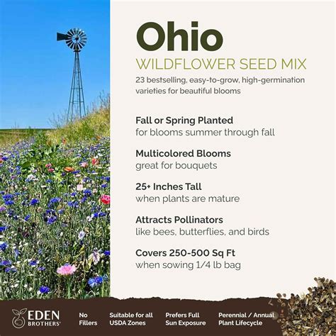 Eden Brothers Semillas Mixtas De Flores Silvestres De Ohio Para Plantar