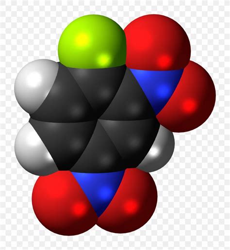 1 Fluoro 2 4 Dinitrobenzene Protein Sequencing Dansyl Chloride 2 4