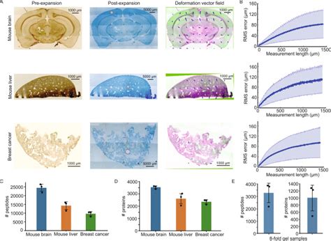 Spatially resolved proteomics via tissue expansion. - Abstract - Europe PMC 