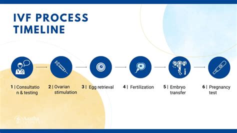 IVF Process Timeline - Aastha Fertility Center