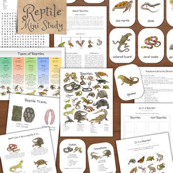 Reptile Traits & Types: study the biodiversity of reptiles! by Wild ...