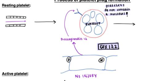 Drugs Affecting Blood Coagulation Flashcards Quizlet