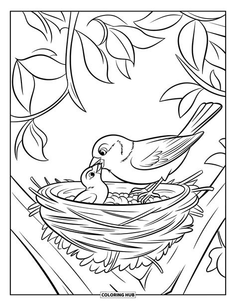 Desenho Passaros Para Colorir - 6