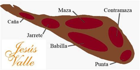 Partes y sabores de un jamón ibérico