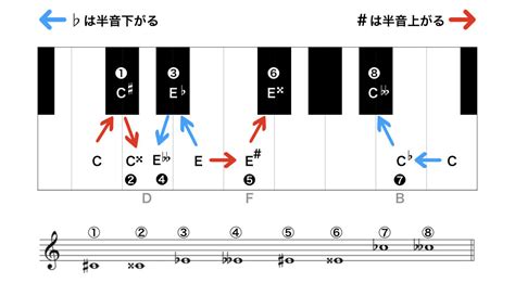 シャープやフラット、正しく読めますか？【変化記号】 ジャズ作曲家 枡田咲子