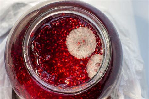 Плесень на варенье: есть продукт или выбросить - Со Вкусом