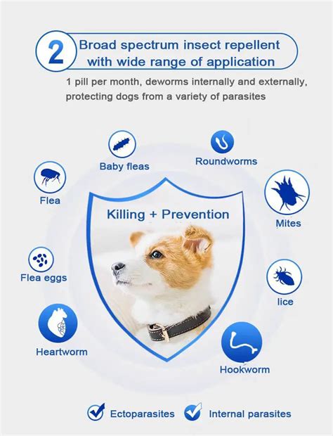 2.0ml for dog Selamectin Solution China factory_China manufacture_China ...