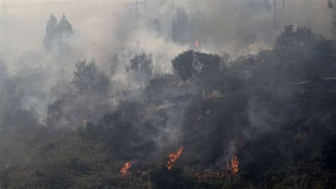 Incendios Forestales Y Cambio Climático Afectan Parques Nacionales