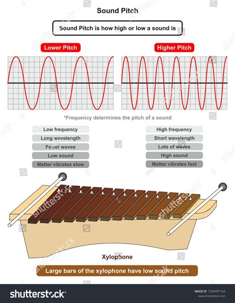 Sound Pitch infographic diagram showing comparison of high and low ...