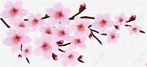 Aesthetic Sakura Hand Painted Cherry Blossom Blossom Pink Flowers