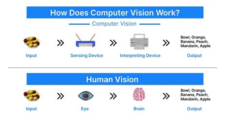 Computer Vision Algorithms and Applications in 2024