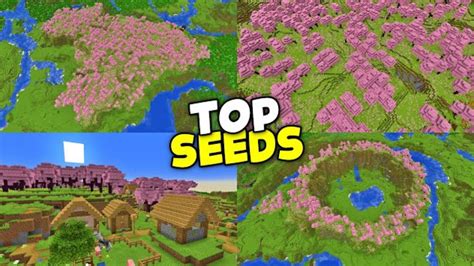 Top 4 Cherry Blossom Minecraft Seeds