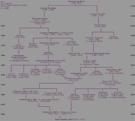 The Medici Dynasty: Leaders of Florence 1400-1737 - Becky DiMattia