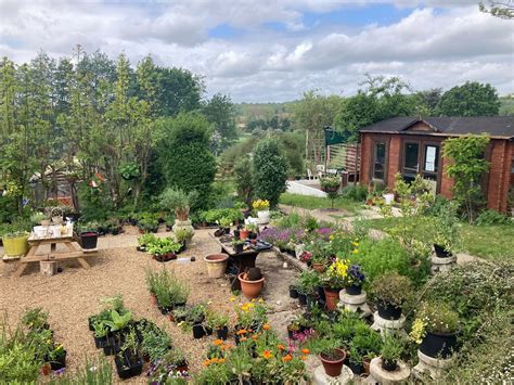 Routes into Rehab | Choices Rehabs