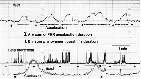 Active Fetal State In The Acg And The Determination Of A B Ratio Download Scientific Diagram