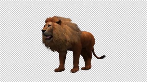 3D Lion Animation 8 Direct Download 20592157 Videohive Motion Graphics