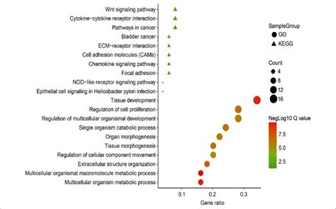 Go Biological Process And Kegg Pathway Enrichment Of The Top