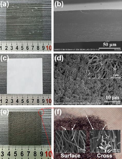 A Photograph Of Speek Membrane B Cross Section Sem Image Of Speek