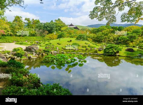 Nara plant hi-res stock photography and images - Alamy