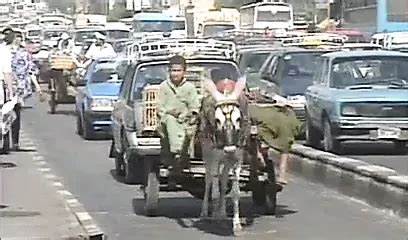 The Pyramid Porn Movie Kissing Kissing Porn Xhamster