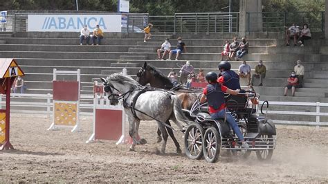 La Copa Gallega De Enganches Se Celebra El D A En El Recinto Ferial