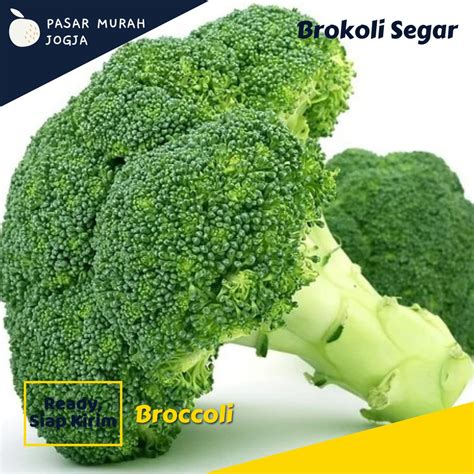 Jual Brokoli Sayur Hijau Segar 500gr Sayuran Pasar Murah Jogja Shopee