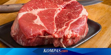 Cara Membedakan Daging Sapi Dengan Babi Ternak Dan Celeng