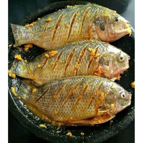 Jual Ikan Lele Nila Kembung Mas Bumbu Kuning Siap Goreng Indonesia