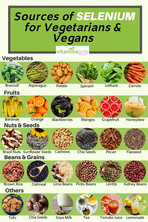 Sources Of Selenium Vegan Nutrition Nutrition Recipes Healing Food