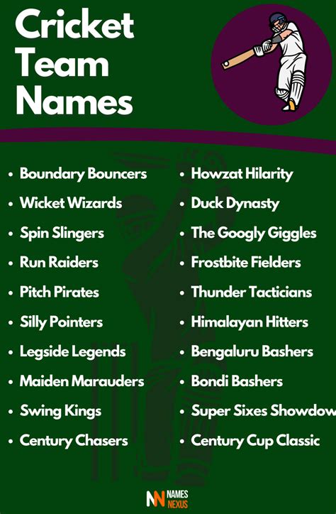 275 Good Cricket Team Names That Are Funny Cool