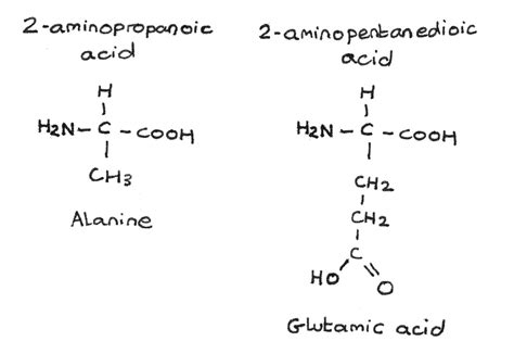 Amino Group Examples