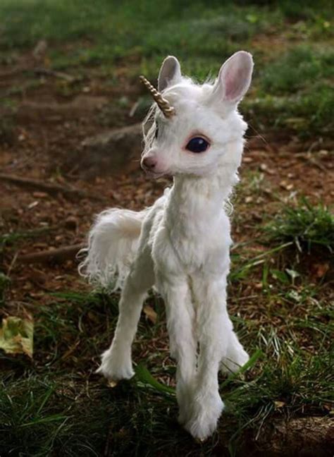 Baby Animals Cute Real