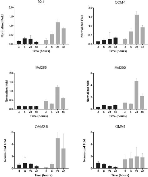 Figure 1 From Regulation Of VEGF A In Uveal Melanoma Semantic Scholar