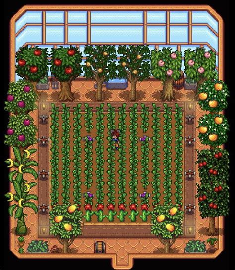 Best Stardew Greenhouse Layout Swityoo