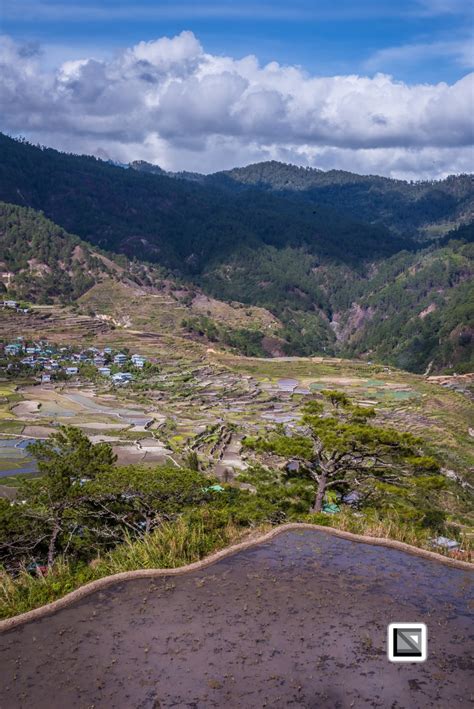 Philippines-Sagada-Aguid_Rice_Terraces-70