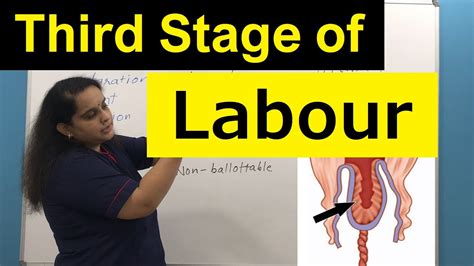 Third Stage Of Normal Labour Physiological Events Clinical