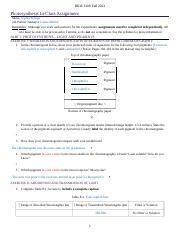 Photosynthesis Ica Docx Biol Fall Photosynthesis In Class