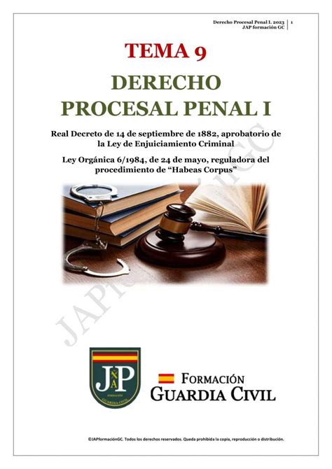 Tema 9A Derecho Procesal Penal I JAP Formación GC