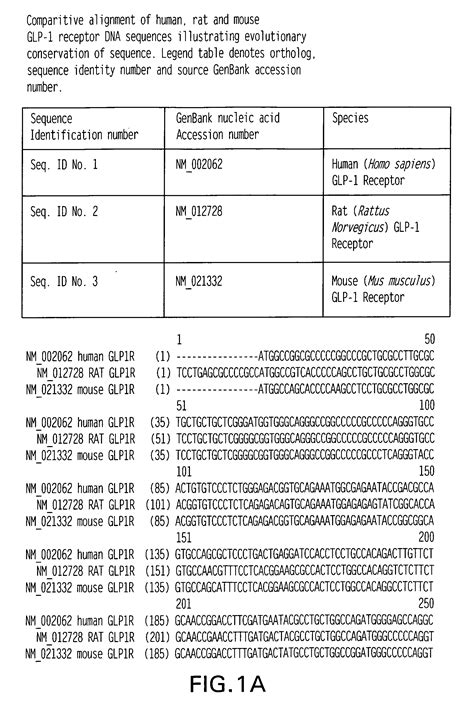 GLP-1 receptor agonist and allosteric modulator monoclonal antibodies
