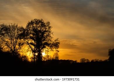 Naked Tree Sunset Panorama Can Be Stock Photo Shutterstock