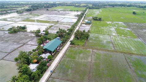 Paved Roads Benefit Agri Communities In Iloilo News Press