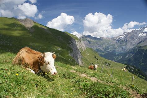 Above Kandersteg | Added to the Cream of the Crop pool as my… | Flickr