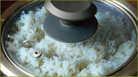 How To Season Rice In A Rice Cooker 30 Easy Recipe Ideas