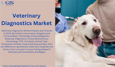 Innovating Healthcare USA Veterinary Diagnostics Market Forecast 2024