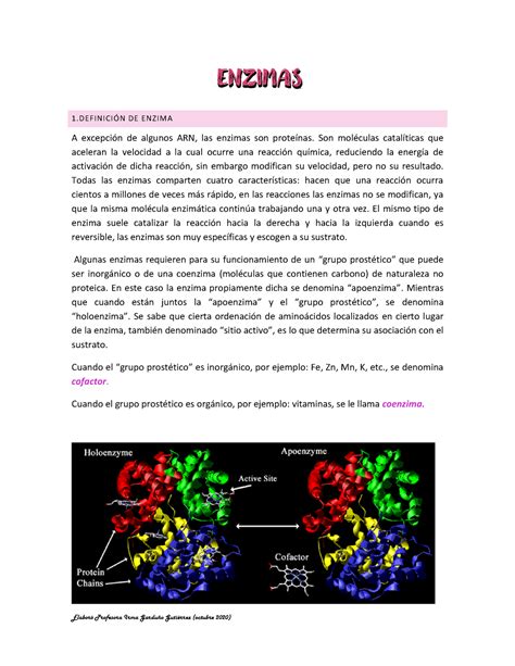 Enzimas Características Equipo 6 Enzimas 1Ón De Enzima A Excepción De