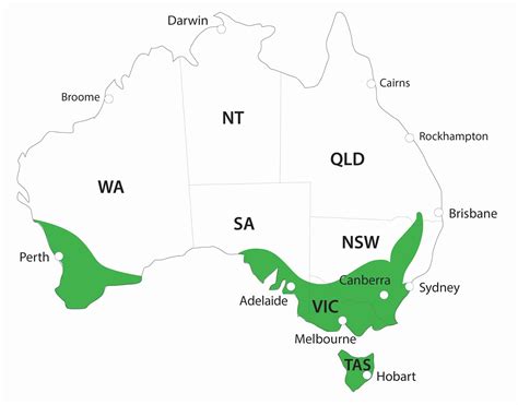 Herald™ Columnar Apple Plantnet® Australia