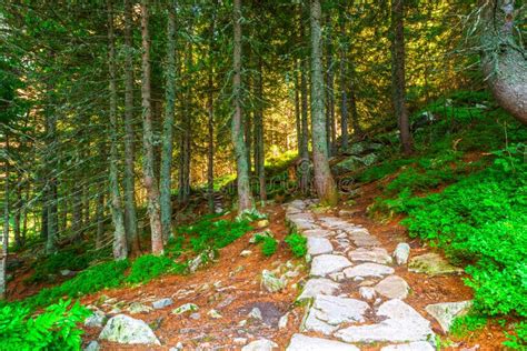 A Stony Hiking Trail Around Lake Morskie Oko Stock Photo - Image of ...